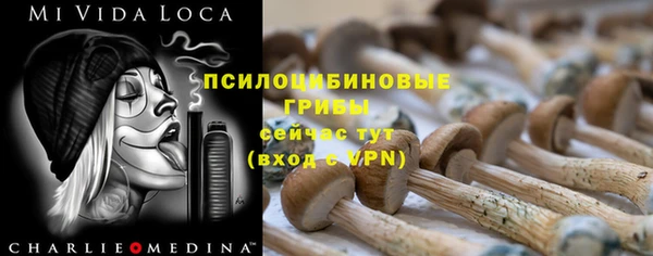 дживик Бугульма