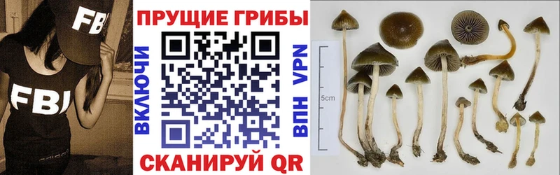 Галлюциногенные грибы мухоморы  Зеленокумск 